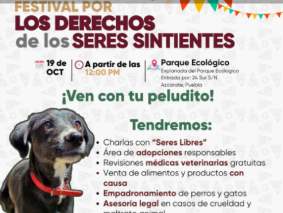 Invita Bienestar Animal al Festival por los Derechos de los Seres Sintientes