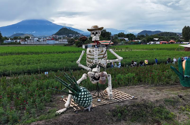 Ariadna Ayala celebra el trabajo del campo con la catrina El jimador