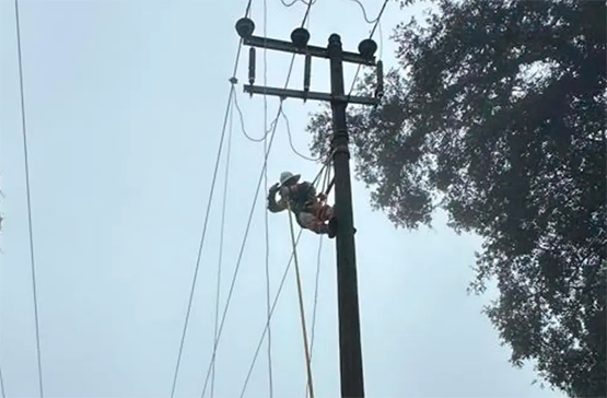 Avanza restablecimiento eléctrico tras lluvias: CFE reporta 98.7% de recuperación