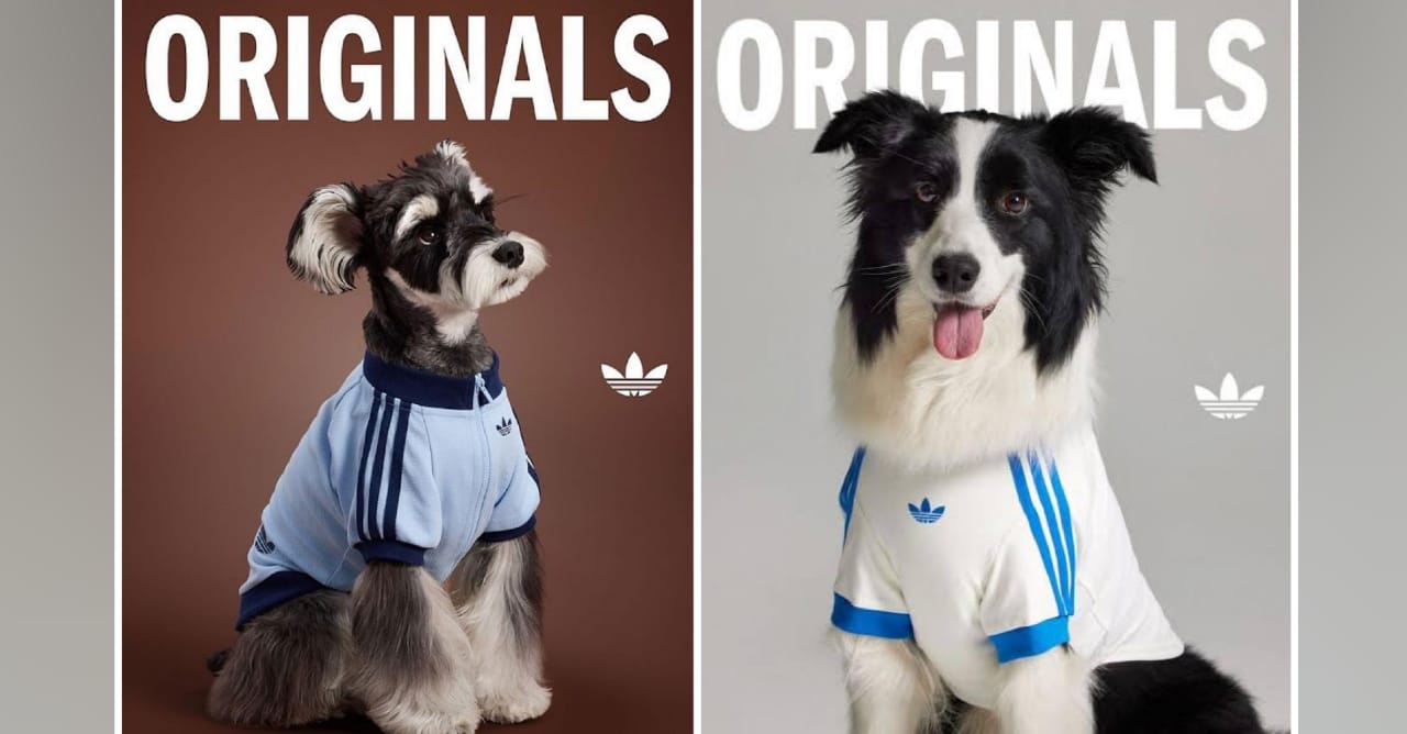 Tu mascota podrá estar a la moda con la nueva colección de Adidas 
