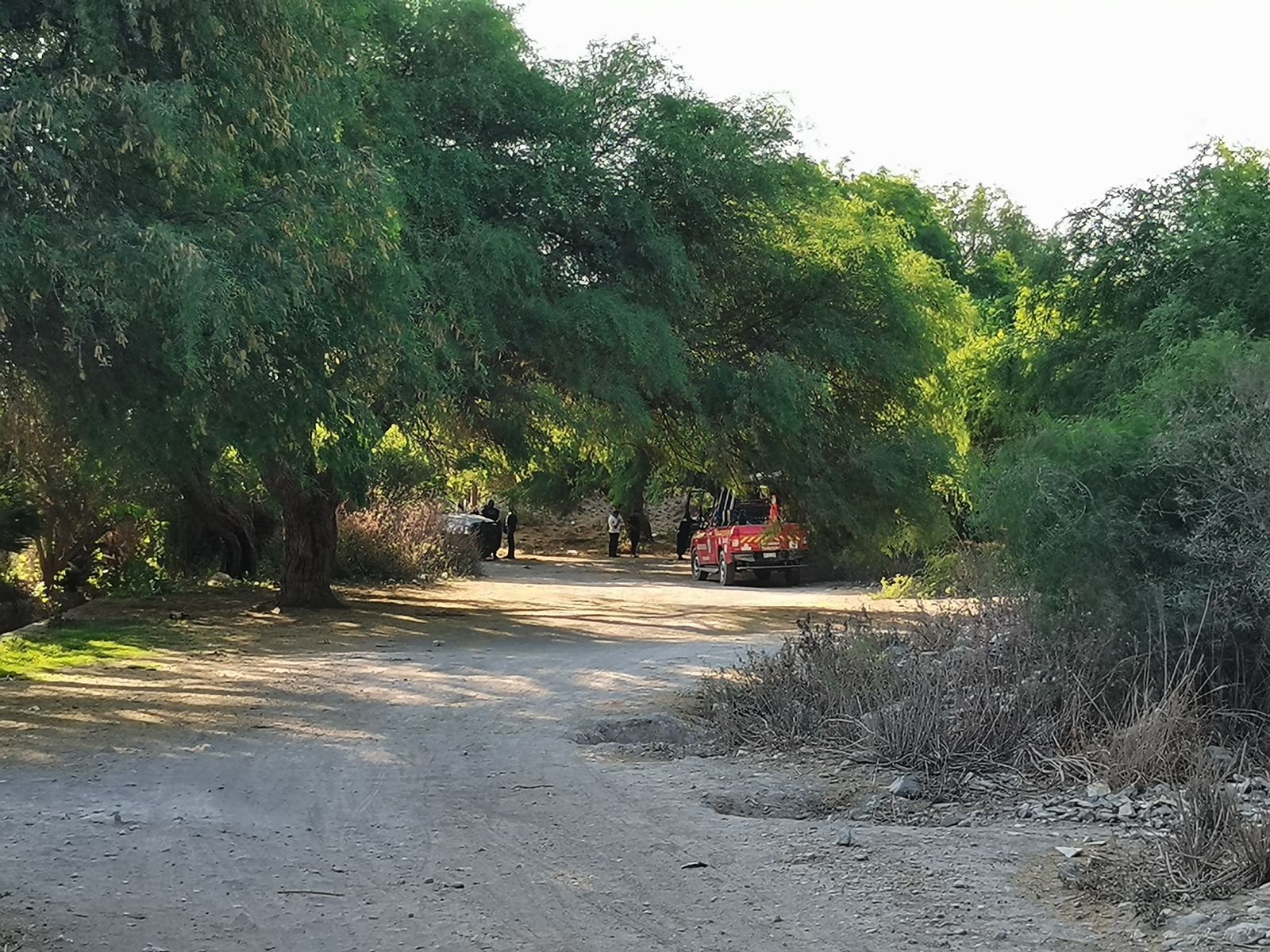 Ejecutaron a dos hombres en límites de Miahuatlán y Tepanco