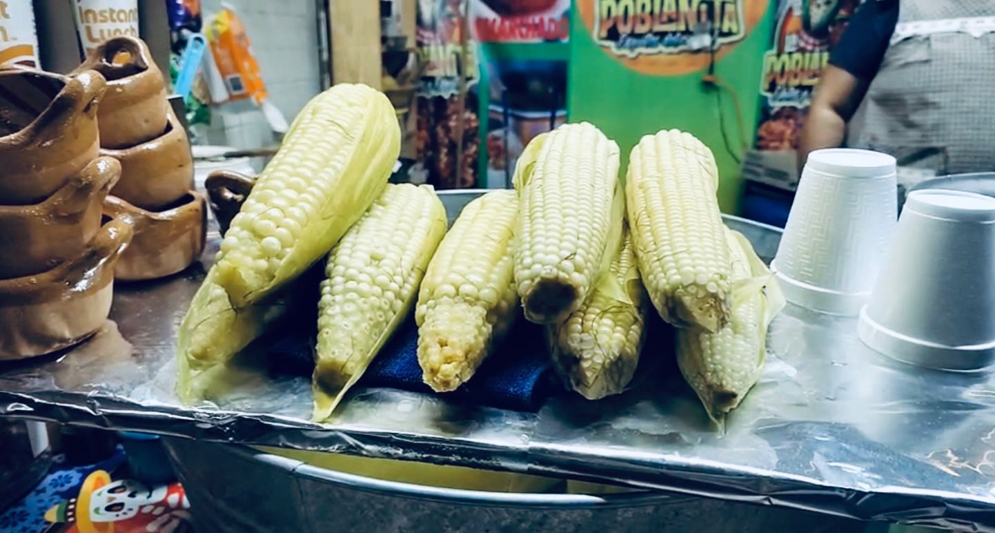 Arranca la edición 2025 de la Feria del elote en Atlixco 