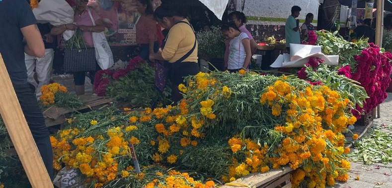 Inicia la venta de flor de muerto en San Diego Chalma y San Pablo Tepetzingo