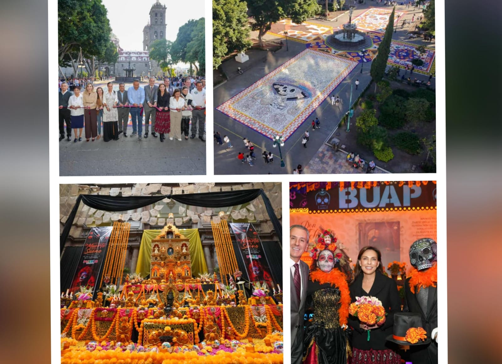 Invita Pepe Chedraui a disfrutar del tapete monumental y ofrenda del Palacio Municipal