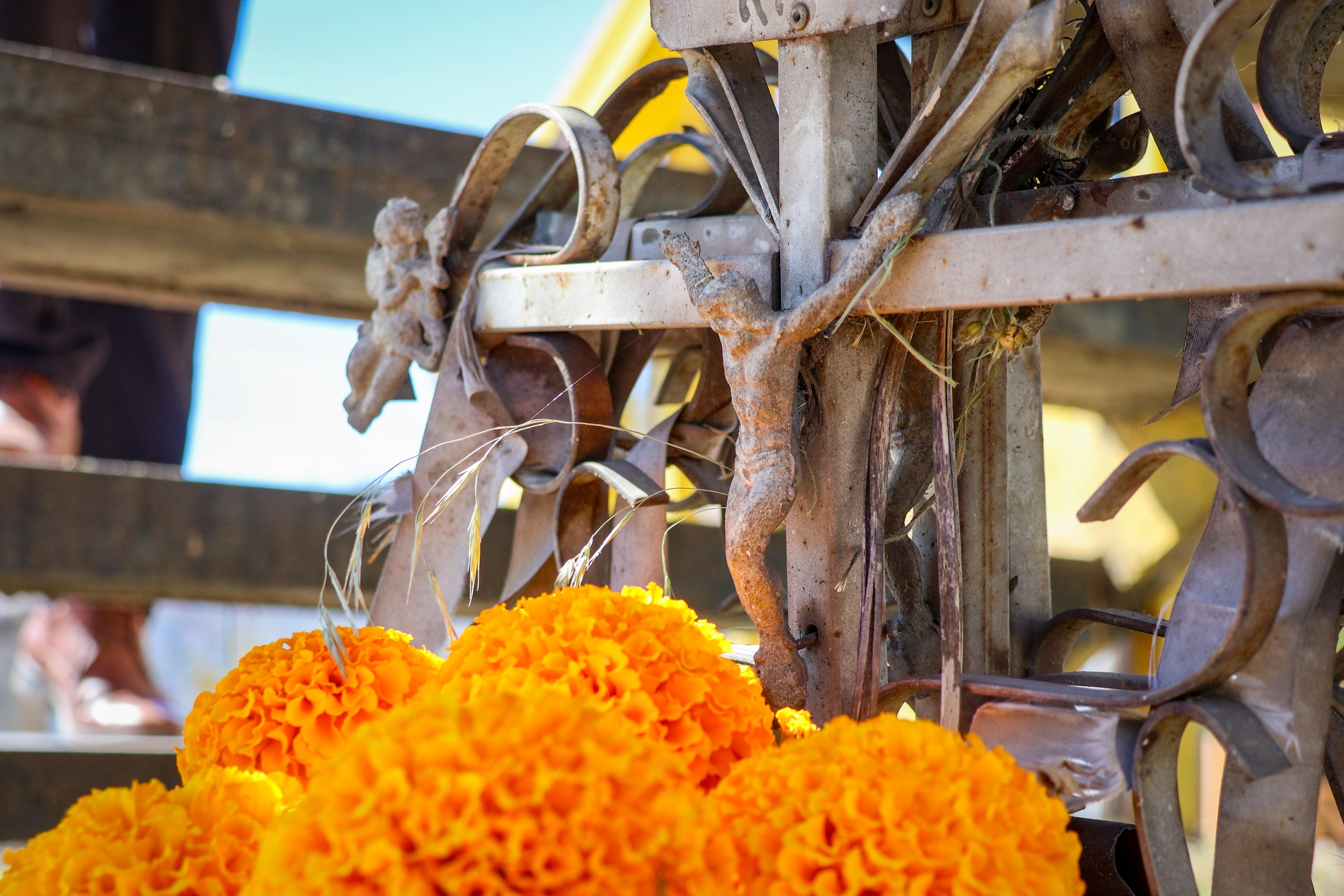 Cruces enfloradas recuerdan a los accidentados en el Día de Muertos