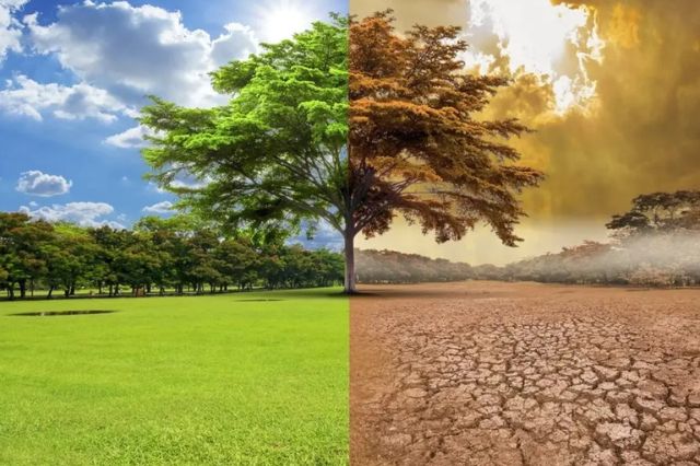 Cambio climático agrava la pobreza: 650 millones bajo amenaza global