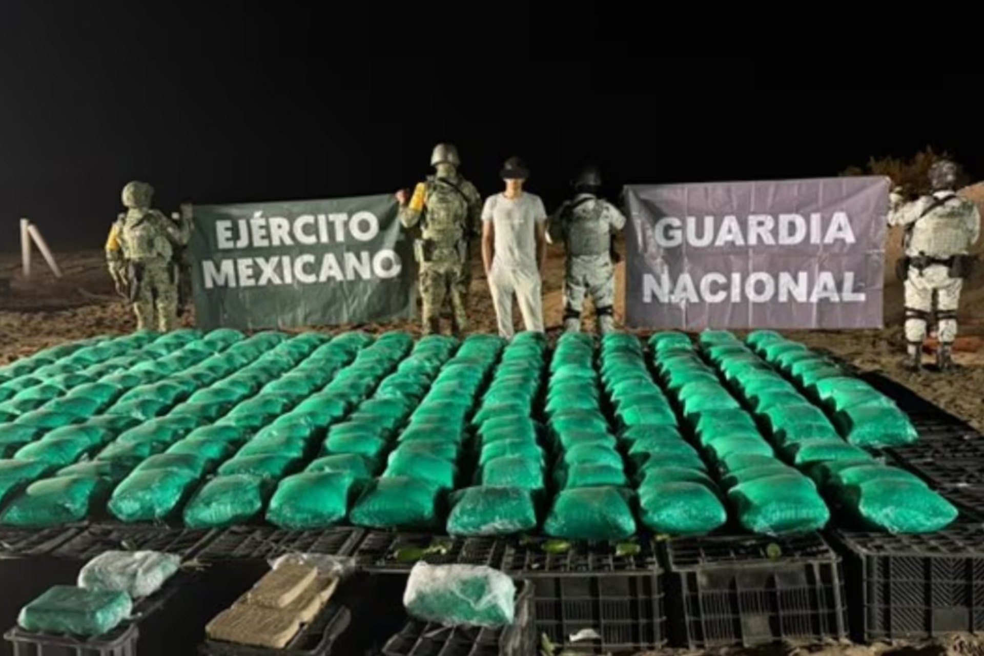 Sedena y GN decomisan metanfetamina, fentanilo y opio en Sonora