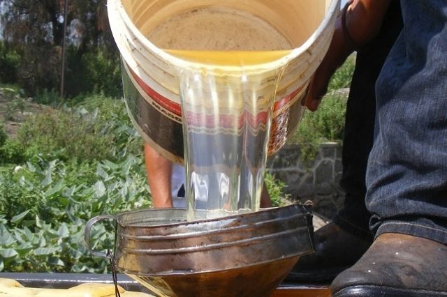 SHCP detecta 59 denuncias por fraude con factureras y huachicol fiscal