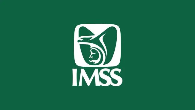 Jóvenes Construyendo el Futuro: así acceden al IMSS los beneficiarios