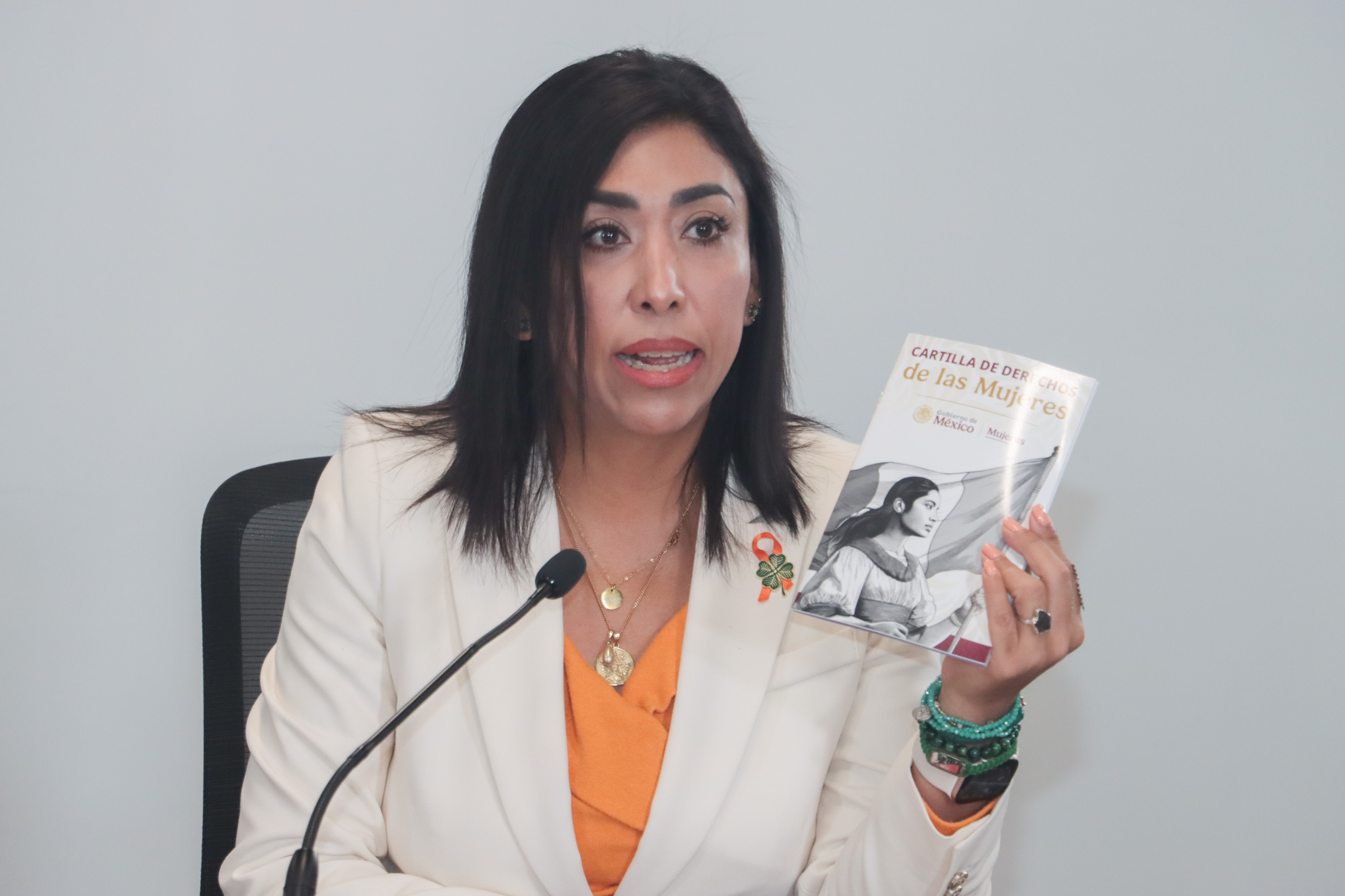 Puebla sería el segundo estado del país en aprobar la Ley Nicole