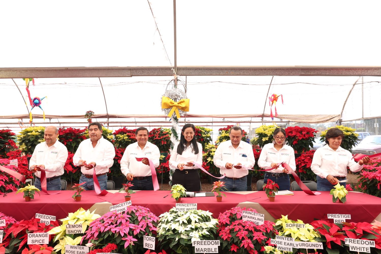 Ariadna Ayala invita a la Feria de la Nochebuena 2025 en Atlixco