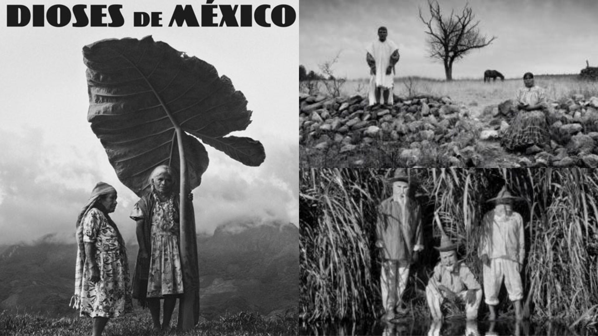A 3 años de su estreno, proyectaran “Dioses de México” en Zapotitlán Salinas 