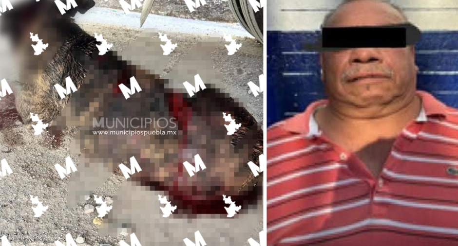 Juez federal es señalado por obstruir justicia por crueldad animal en Tehuacán