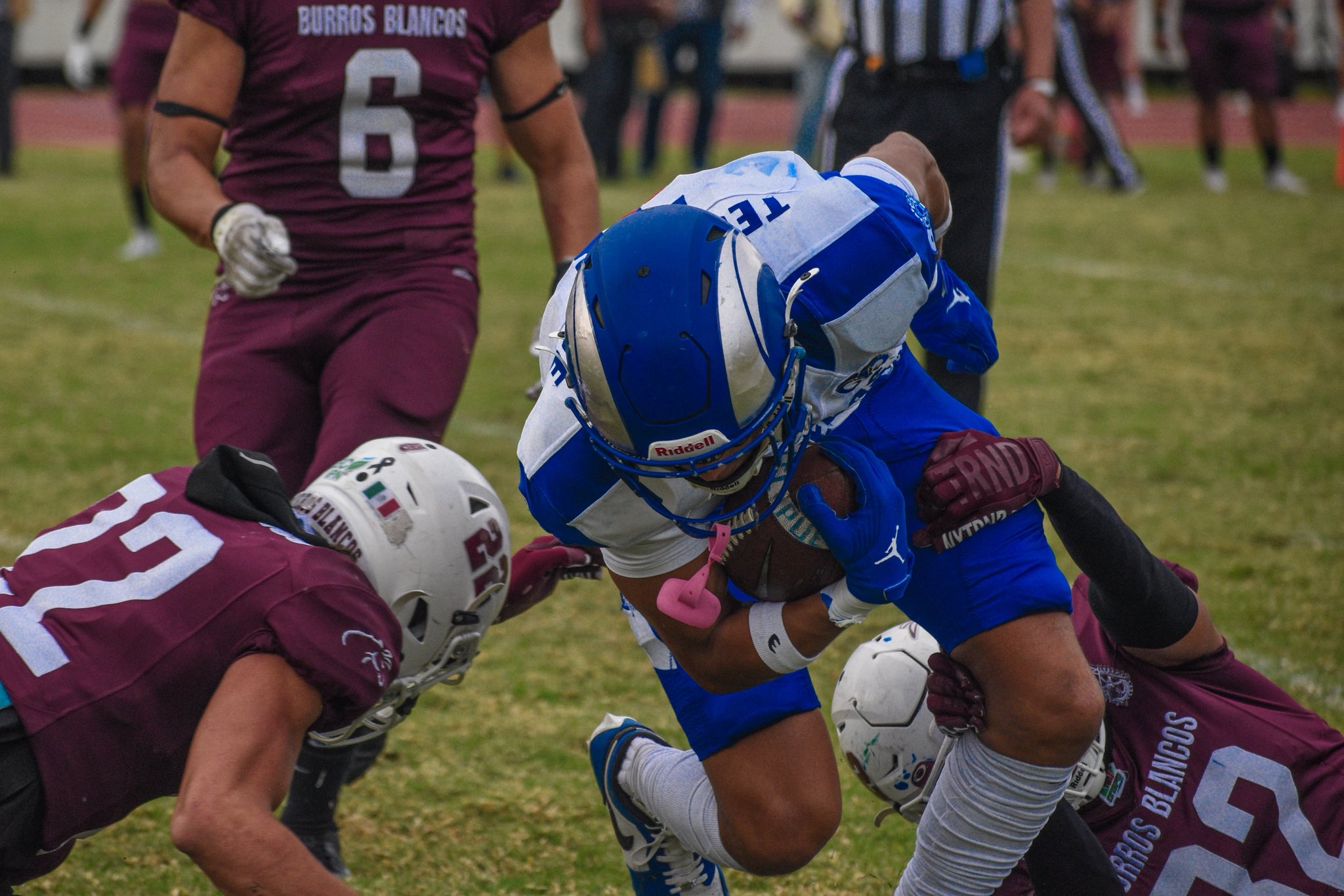 Borregos Puebla apalea a los Burros Blancos en la Onefa