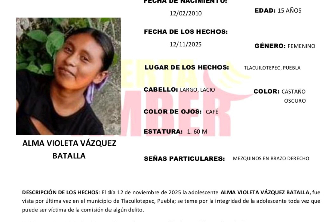 Activan Alerta Amber por la desaparición de Alma Violeta en Tlacuilotepec