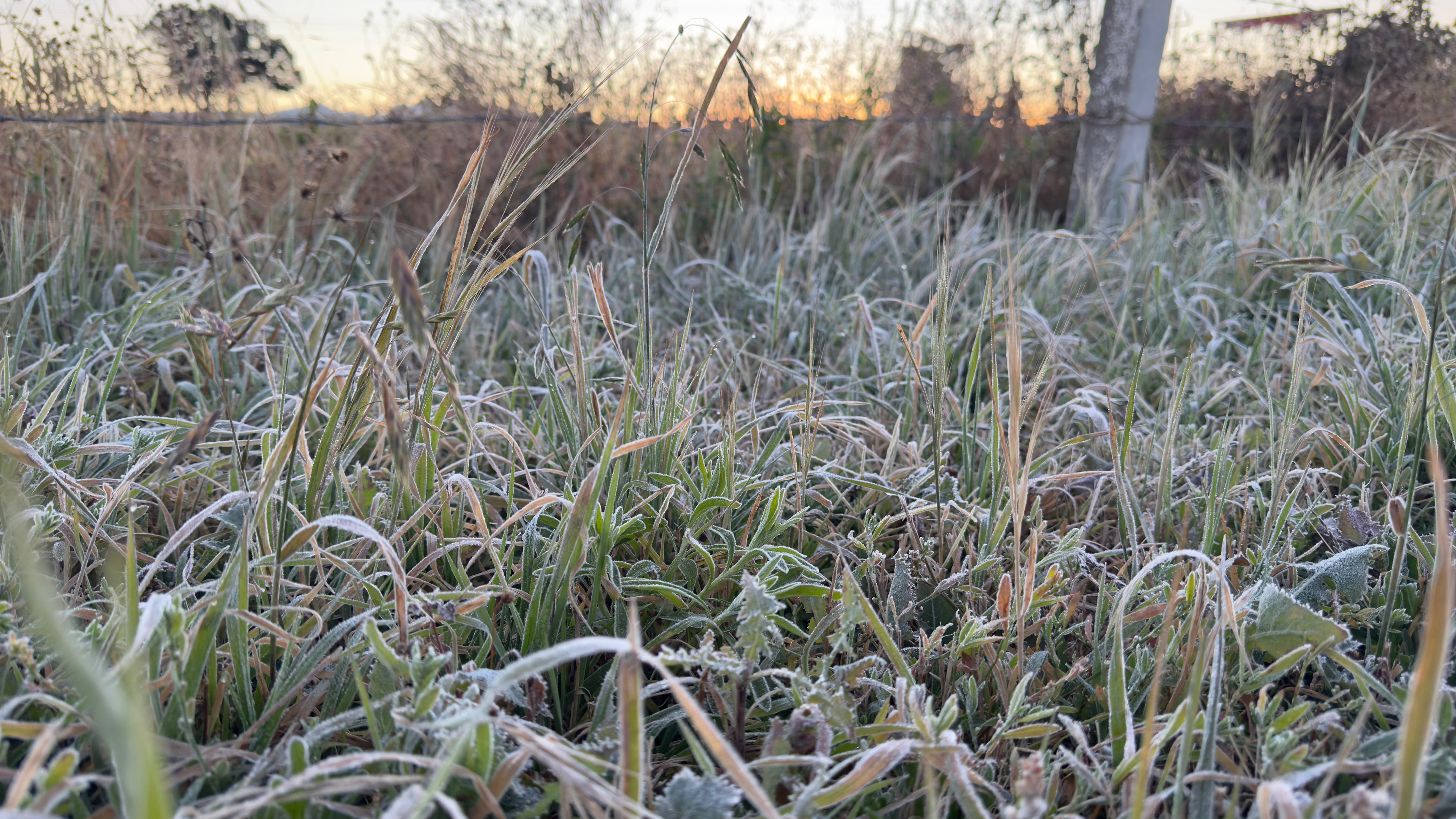 Se registran las primeras heladas en el estado de Tlaxcala