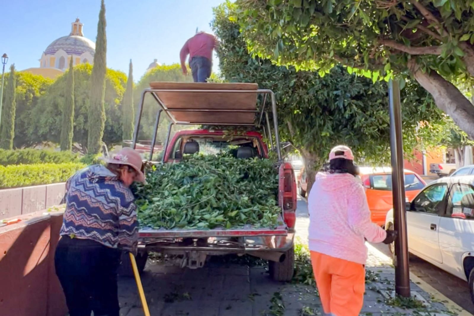 Ayuntamiento de Tlaxcala embellece Plaza Juárez con jornada de poda