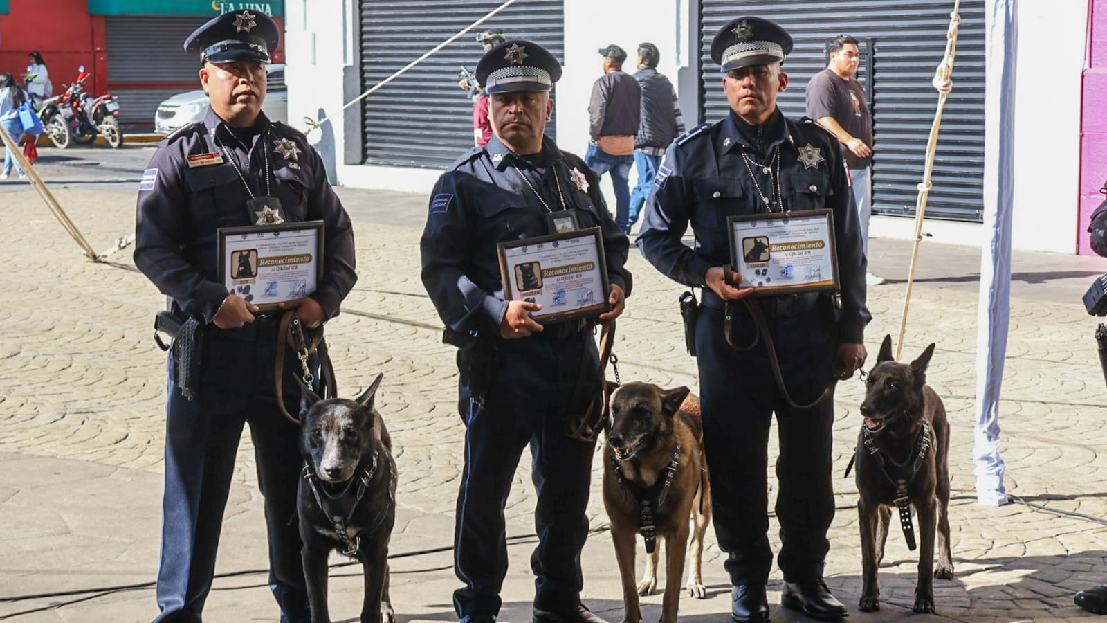 Rex, Boster y Luger, se despiden tras años de servicio en Apizaco