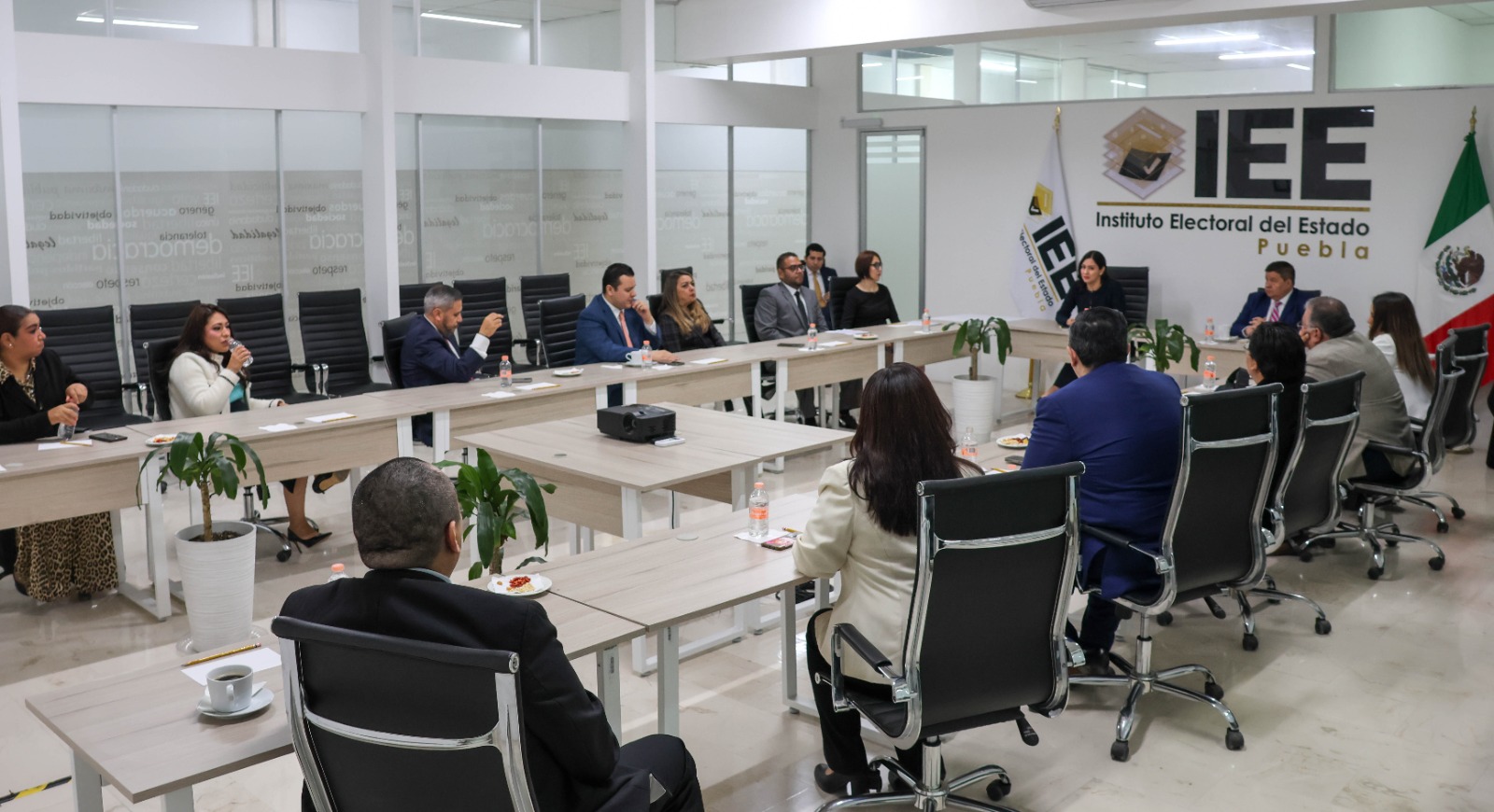 INE nombrará a titular de Consejería del IEE antes de septiembre del 2026
