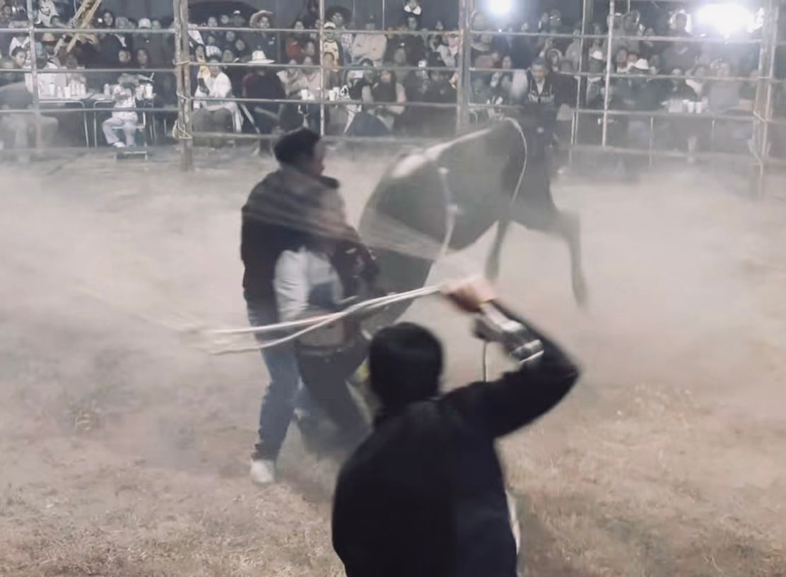 En Atlixco padre salta al ruedo para salvar a su hijo durante jaripeo 
