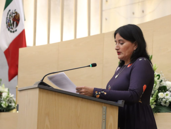 Promueven en el Congreso iniciativa para que menores tengan acceso seguro del internet