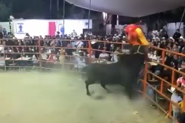 Payaso es embestido por un toro en jaripeo de Izúcar 
