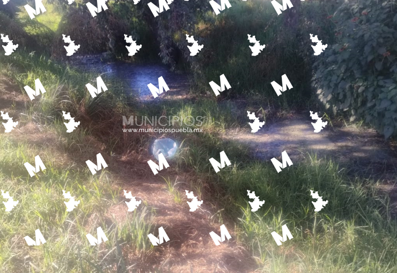 Agua de drenaje es depositada en zanja en Texmelucan y genera contaminación