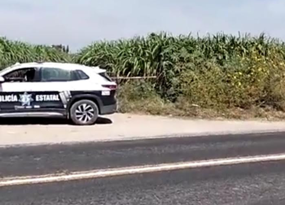 Hallan a dos personas sin vida en camino de terracería en Tilapa