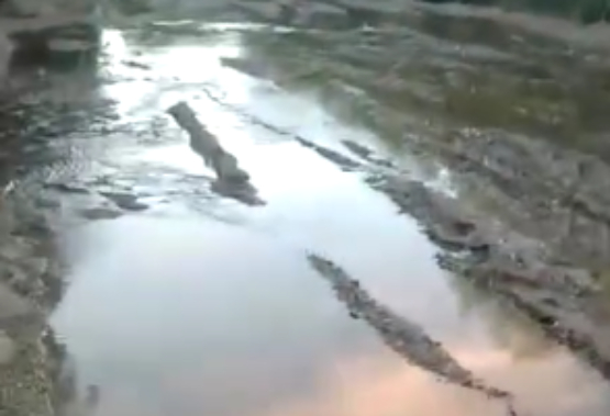 Municipios de la Mixteca denuncian saqueo de recursos naturales