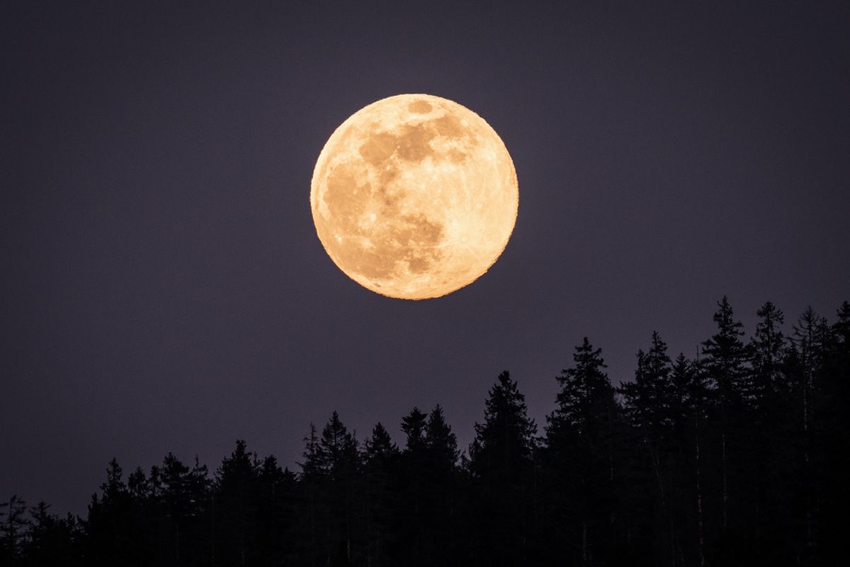 En noviembre habrá un espectáculo astronómico brillante, la Superluna 