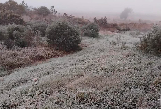 Se presentan las primeras heladas de la temporada en municipios del Valle de Serdán 