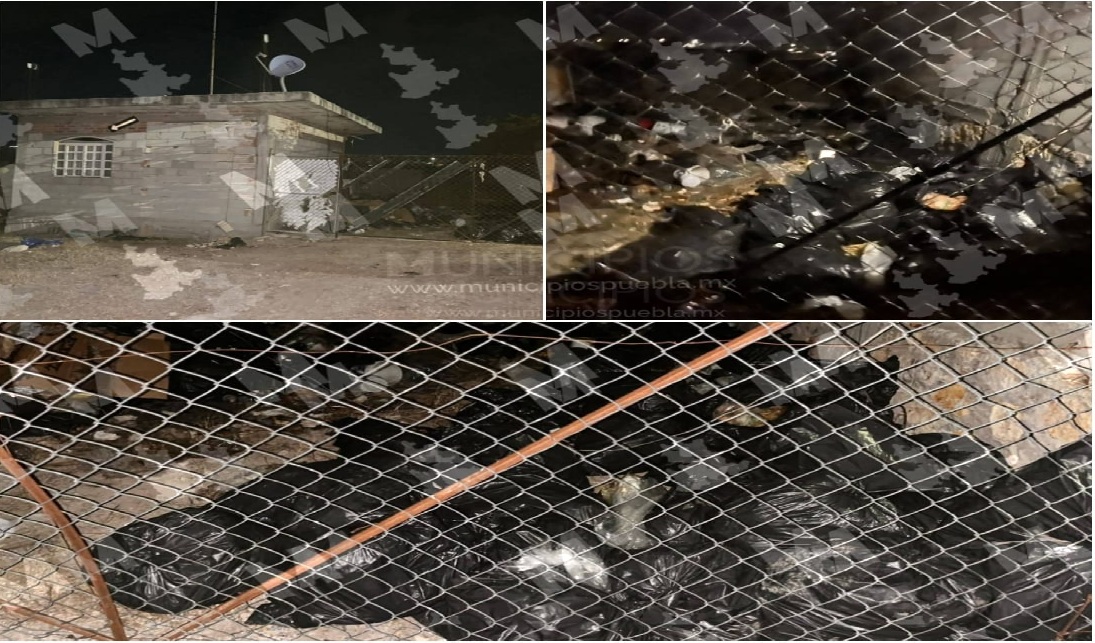 Denuncian foco de contaminación ante acumulación de basura en la colonia Resurrección