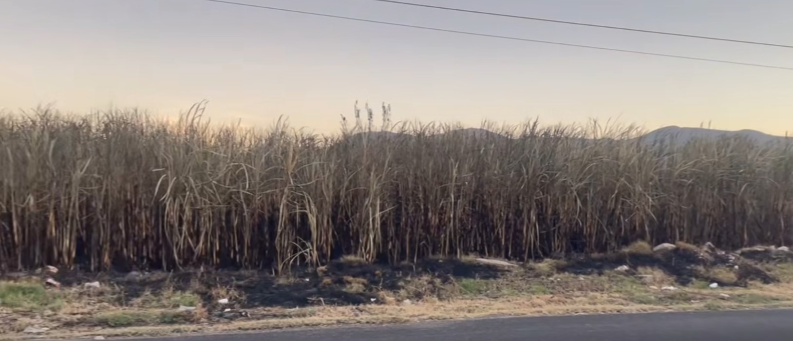 Aún no inicia la zafra y suman ya 16 parcelas de caña quemadas