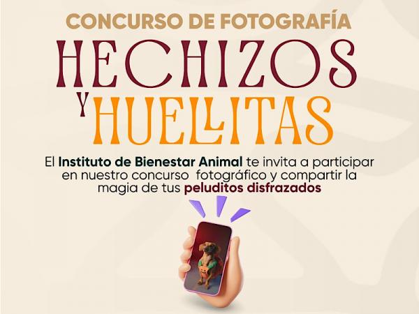 Instituto de Bienestar Animal invita al concurso fotográfico Hechizos y Huellitas