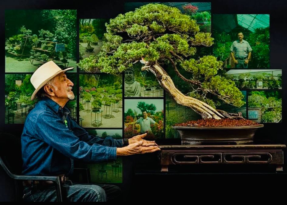Fallece Emigdio Trujillo, fundador del Museo del Bonsái de Atlixco