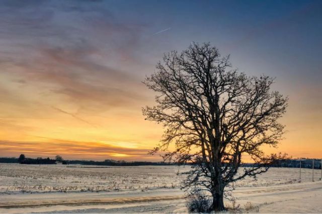 Llega el día con menos luz del año: efectos del solsticio de invierno en México