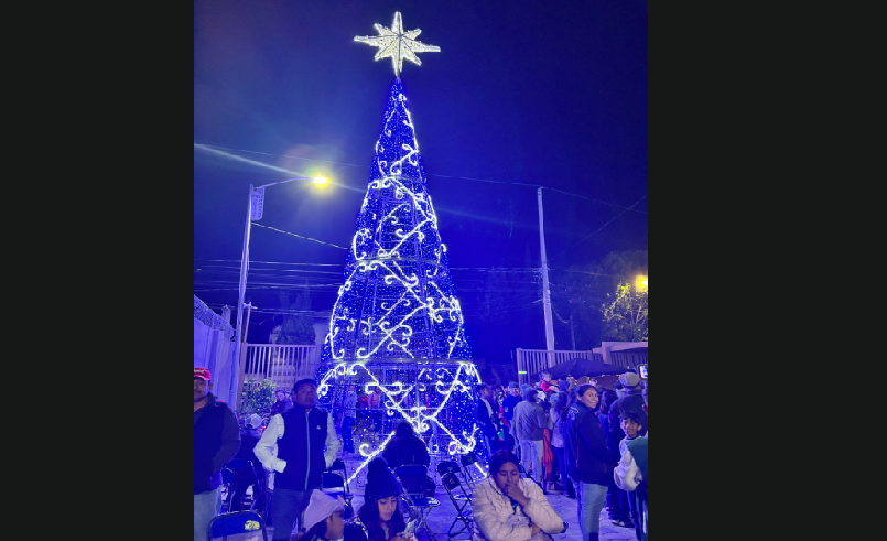 Gobierno de la Ciudad emite recomendaciones para una instalación segura del árbol de navidad