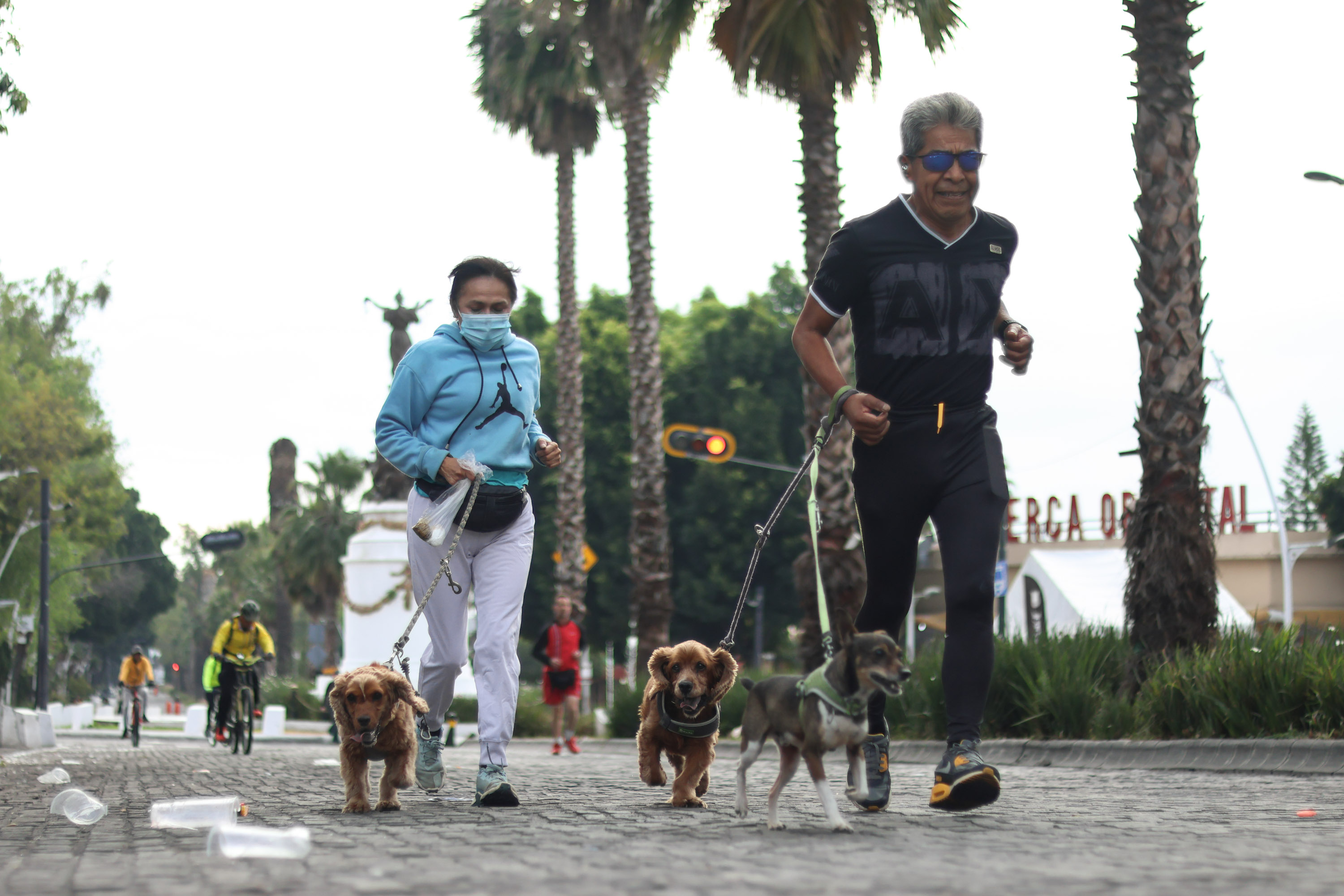 Las mascotas predominaron en la Vía Recreativa de este domingo 