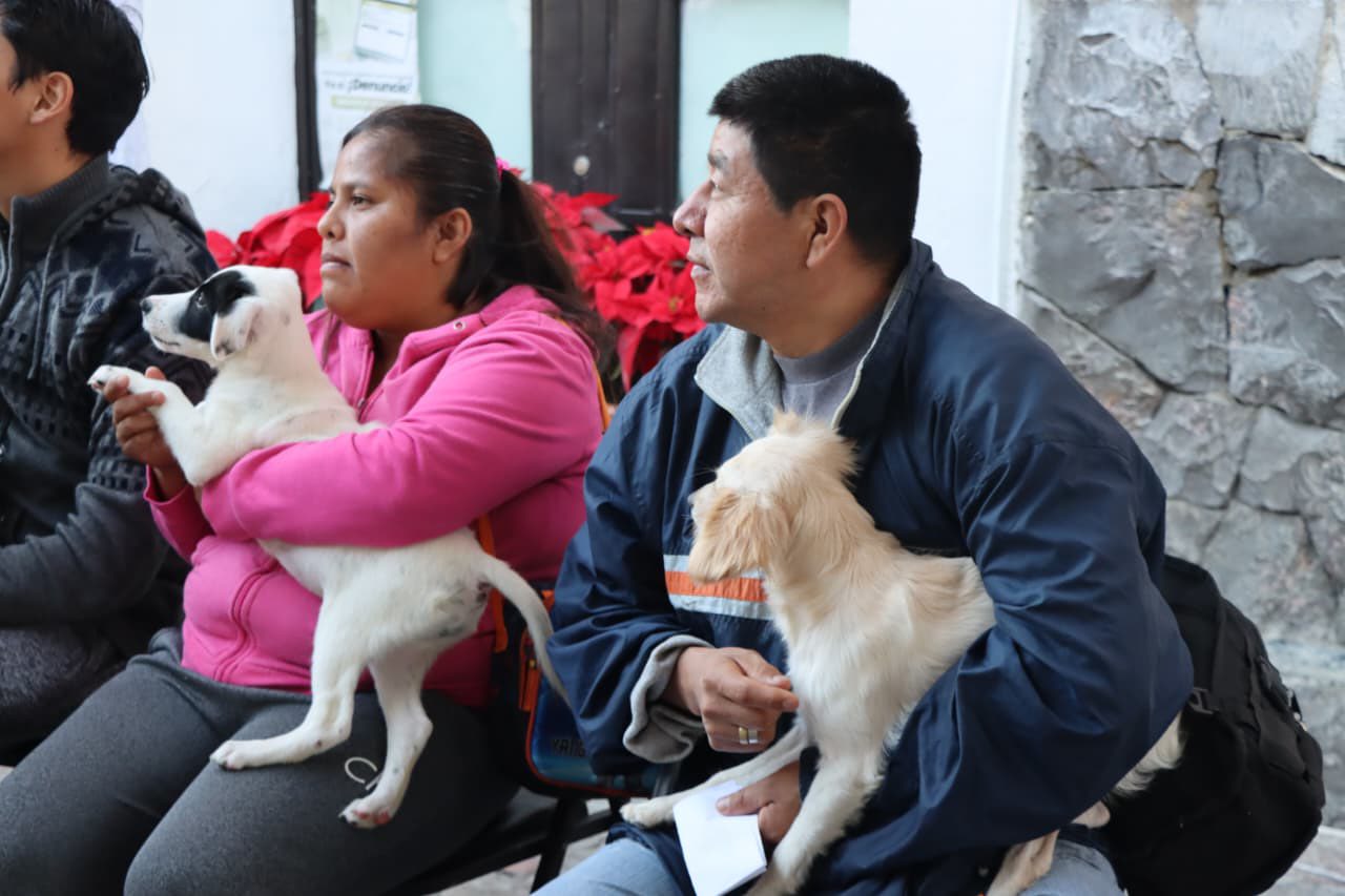 Ariadna Ayala continúa impulsando servicios veterinarios gratuitos en Atlixco