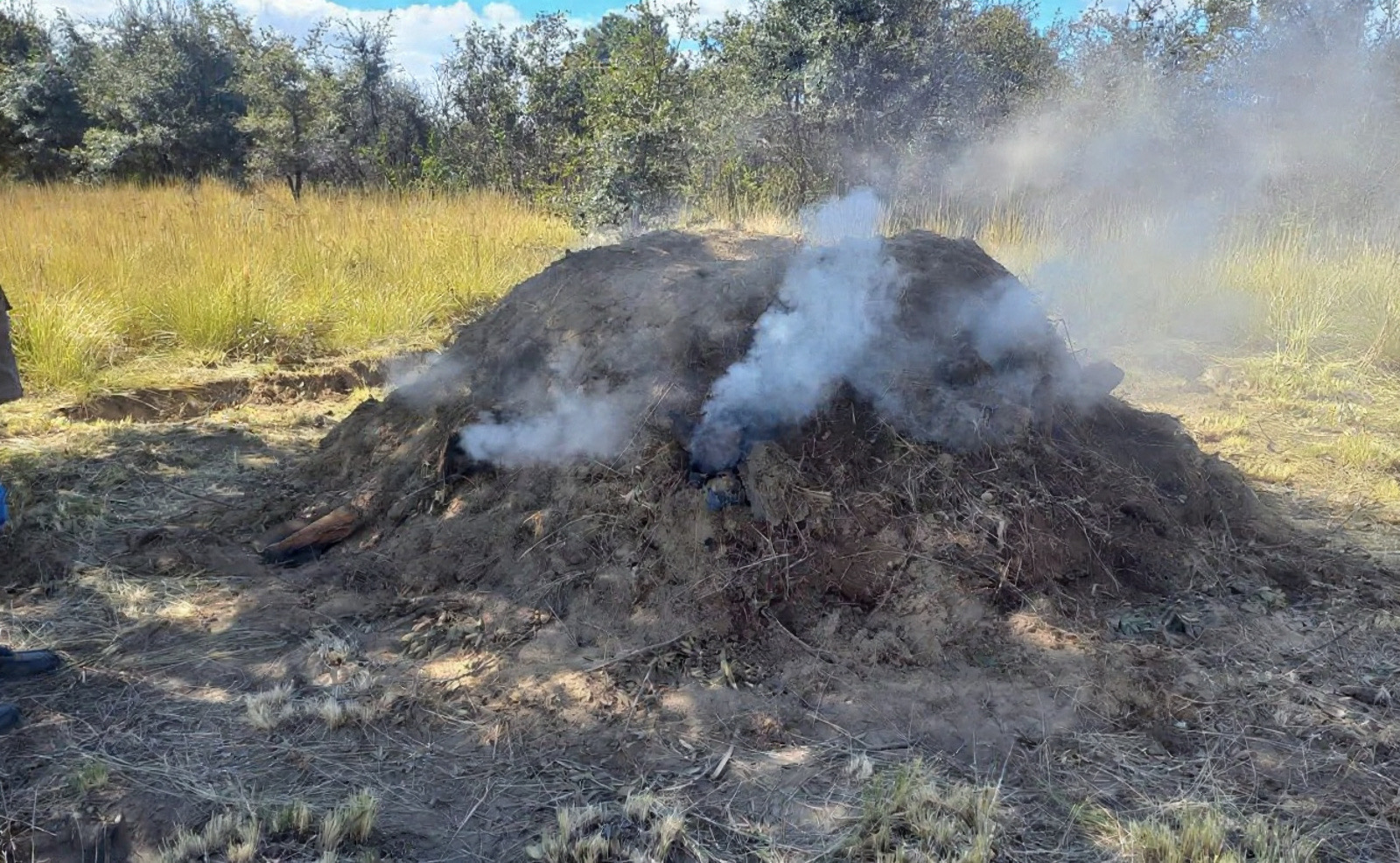 Profepa desmantela dos hornos clandestinos de carbón en La Malinche 