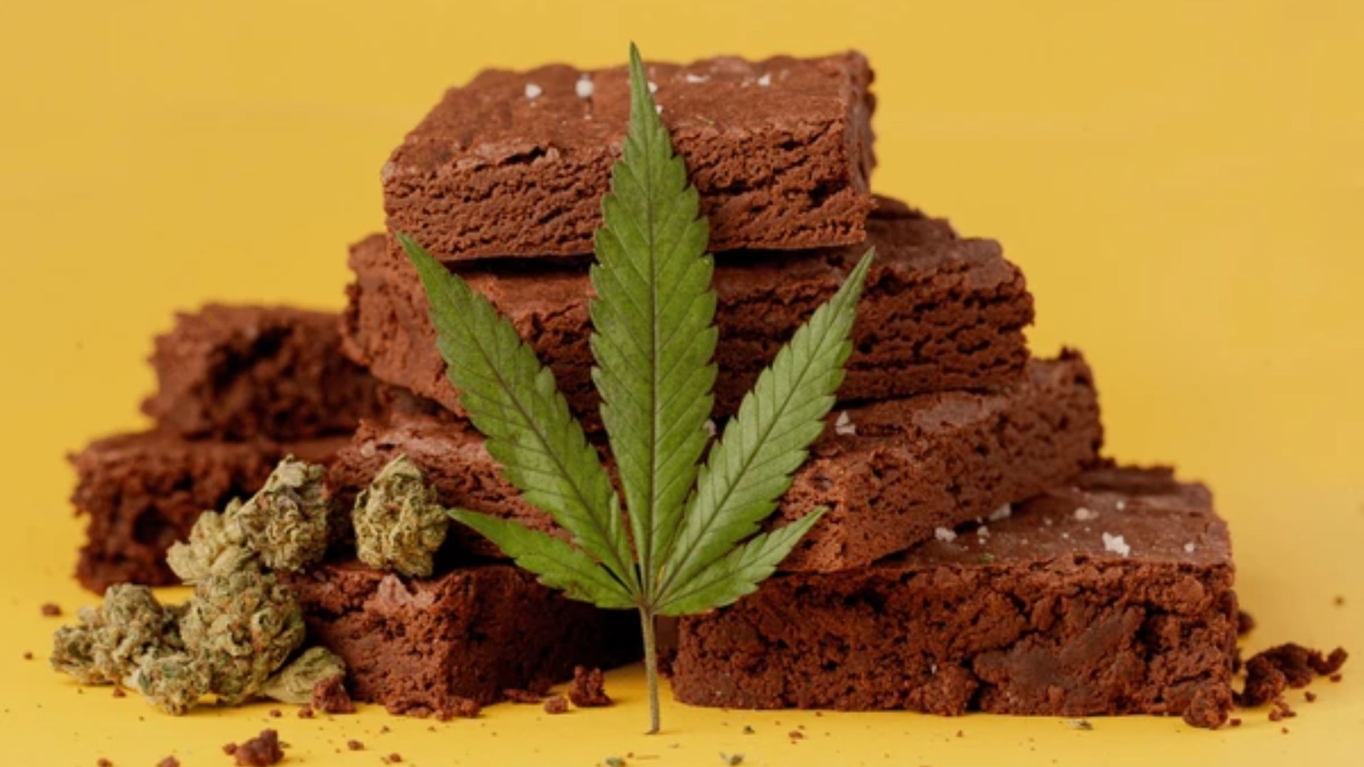 Hospitalizaron a 2 niñas en Tehuacán por haber comido un brownie cannábico