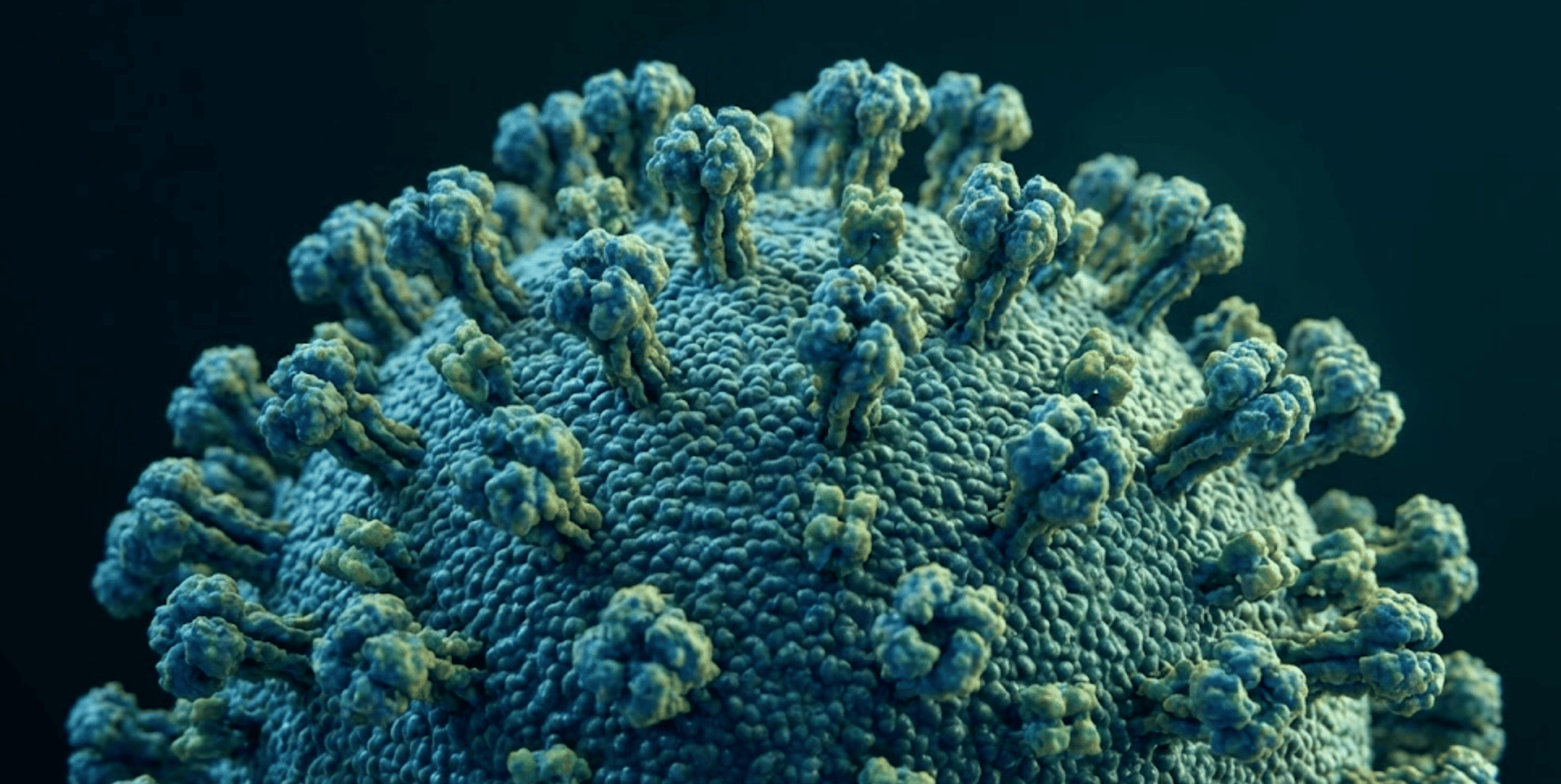 Influenza H3N2 subclado K: síntomas, riesgos ya quiénes afecta más esta súper gripe