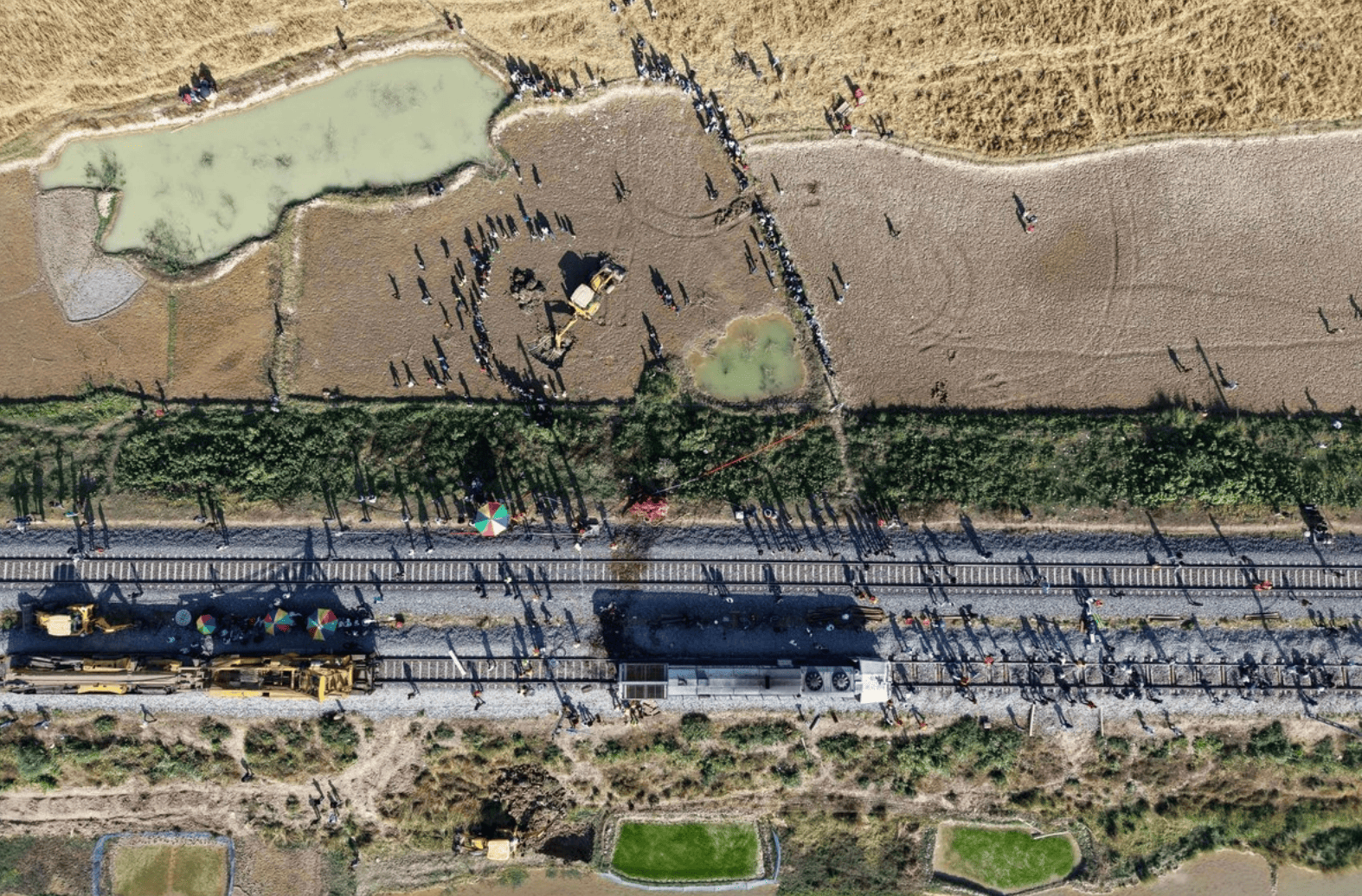 Un tren de alta velocidad arrolla y mata a siete elefantes en India