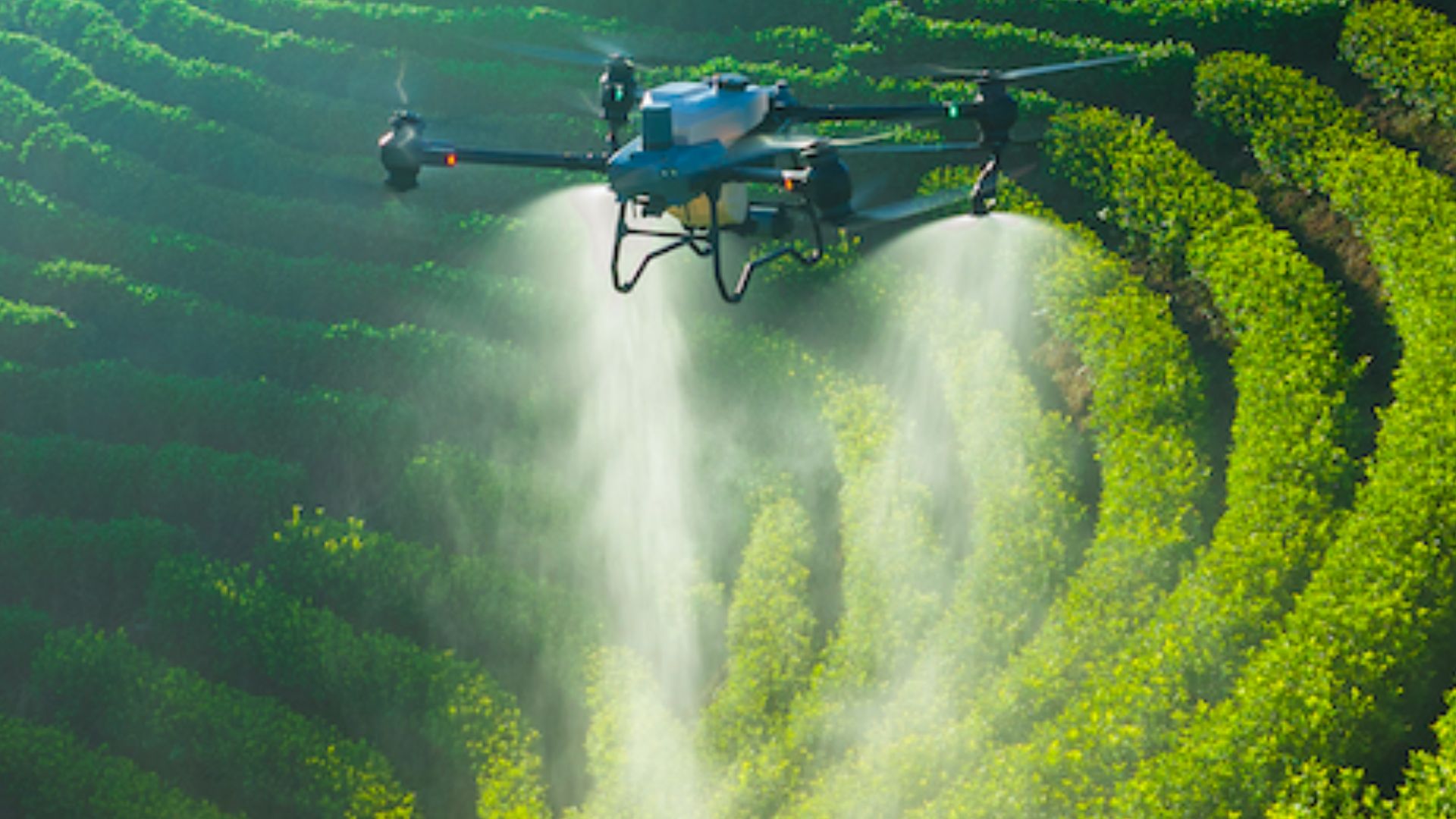 En Izúcar, se están usando drones para poder combatir el mosquito del dengue