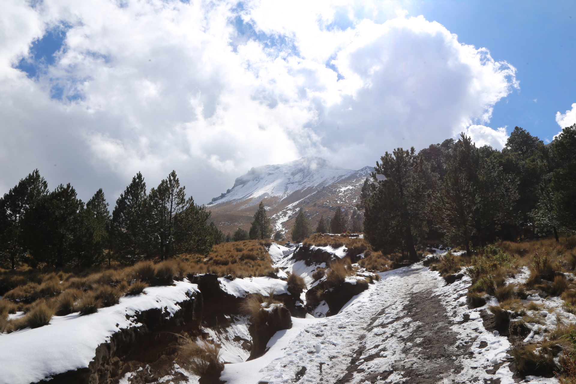 Si quieres tener contacto con la nieve y disfrutar de bellos paisajes, estos destinos son ideales 