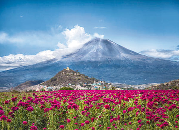 Atlixco, el jardín eterno de Puebla: flores, historia y tradición al pie del Popocatépetl