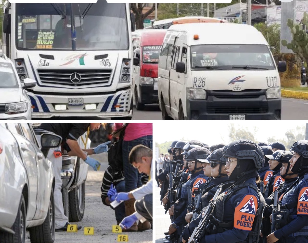 Febrero para Puebla se destacó por disminución de delitos y creación de Policía Forestal 
