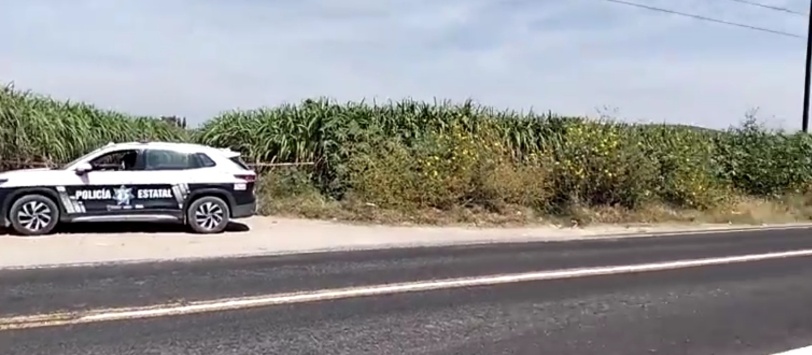 De nueva cuenta hallan restos humanos en Tilapa 