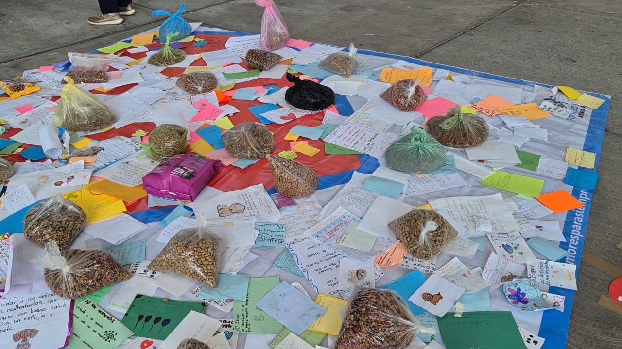 ONG animalista concluye su campaña anual de concientización sobre bienestar animal en Atlixco