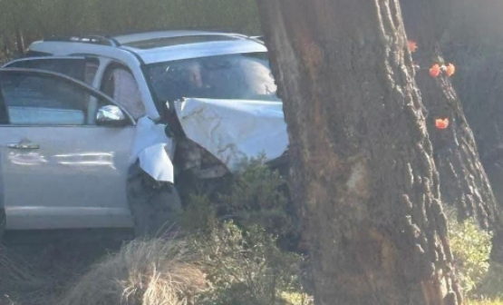 Choca auto contra árbol en carretera Chilchotla-Guadalupe Victoria